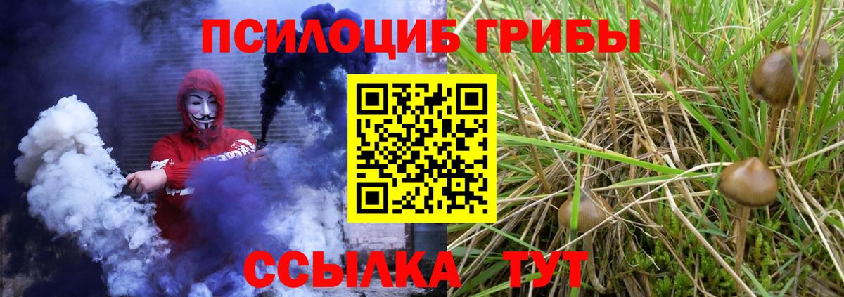 Псилоцибиновые грибы Psilocybine cubensis Острогожск