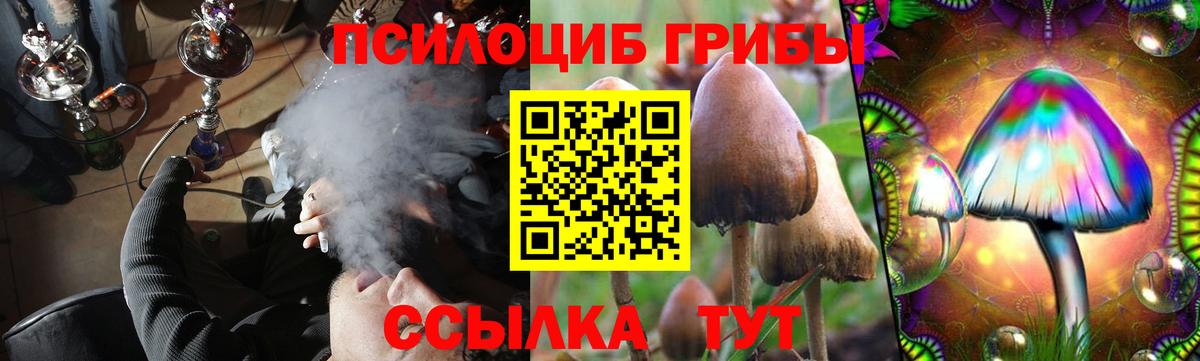 Псилоцибиновые грибы Magic Shrooms  Вход с VPN  Острогожск 