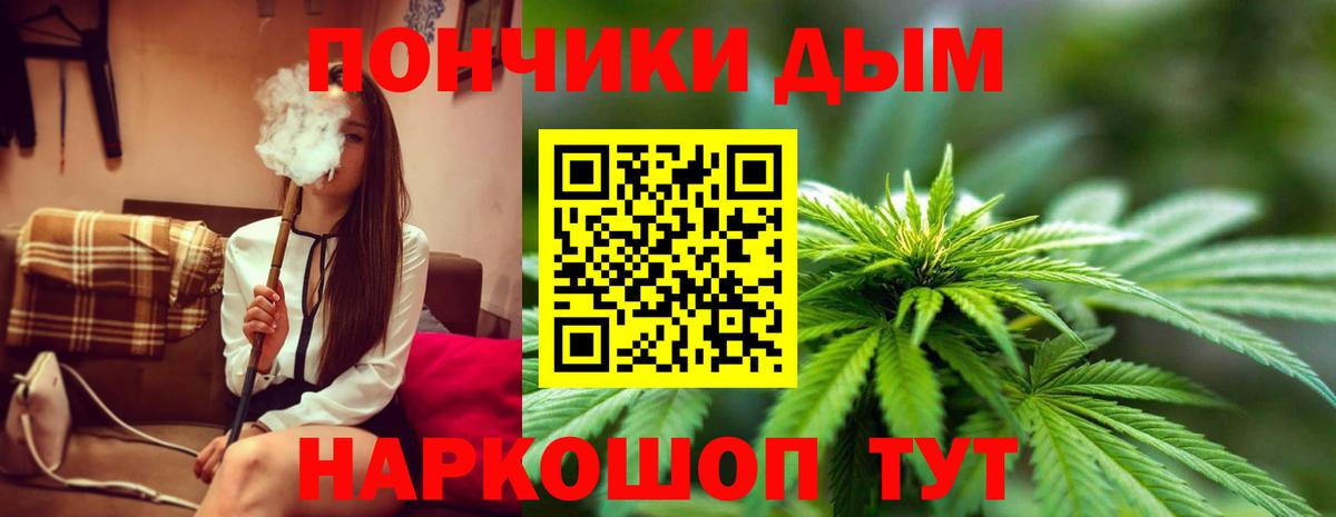 Конопля VHQ Острогожск